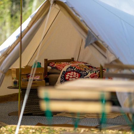 Kingsteignton Naturally Glamping מראה חיצוני תמונה