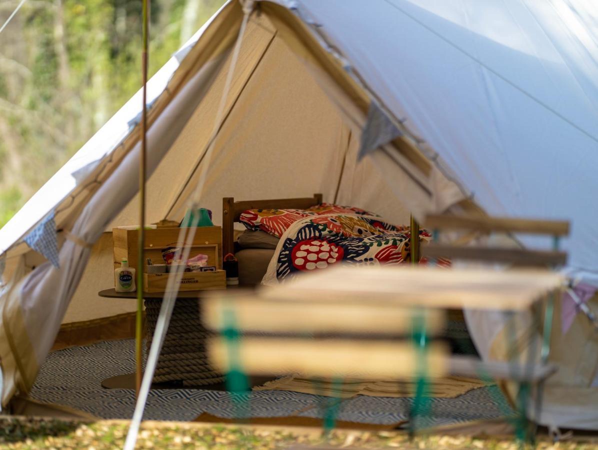 Kingsteignton Naturally Glamping מראה חיצוני תמונה